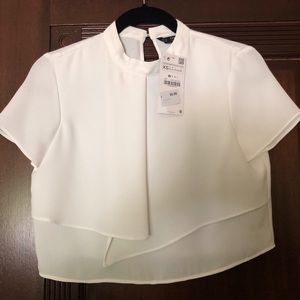 Zara Cropped Blouse